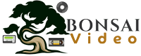 My Blog